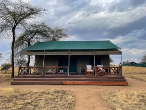 Volunteer in Tanzania